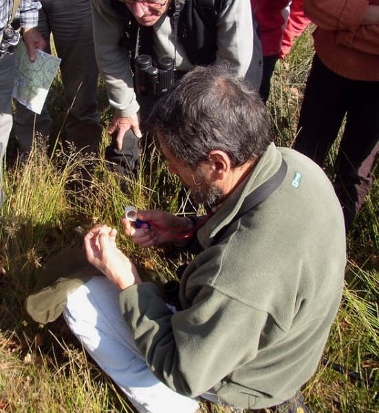 2007 10 Bois de Rochefort 22